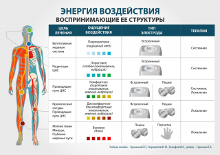 СКЭНАР-1-НТ (исполнение 01)  в Сочи купить Медицинский интернет магазин - denaskardio.ru 